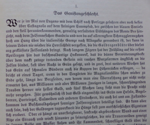 antiquarisches Buch – R. H. (Raoul Heinrich) France / adolf koelsch  – Die Blütepflanzen der Erde - band 2