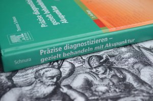 gebrauchtes Buch – Thomas Schnura – Präzise diagnostizieren - gezielt behandeln mit Akupunktur