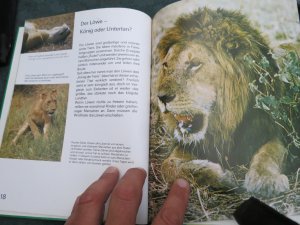 gebrauchtes Buch – Bruce Kinloch – Wildhüter in Afrika.