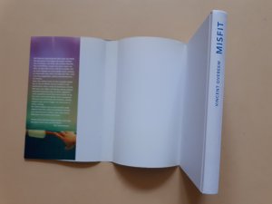 gebrauchtes Buch – Vincent Overeem – Misfit