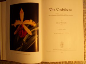 "Die Orchideen" "Orchideen als Zimmerpflanzen" "Stein`s Orchideenbuch" "Die wildwachsenden Orchideen Europas" "Orchideen in Haus und Garten" 5BÜCHER