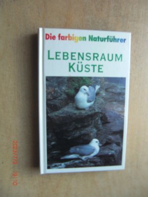 gebrauchtes Buch – Fechter / Grau / Reichholf – Lebensraum Küste. Die farbigen Naturführer