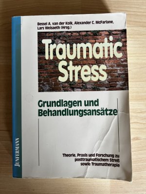 Traumatic Stress - Theorie, Praxis, Forschung zu posttraumatischem Streß. Grundlagen & Behandlungsansätze