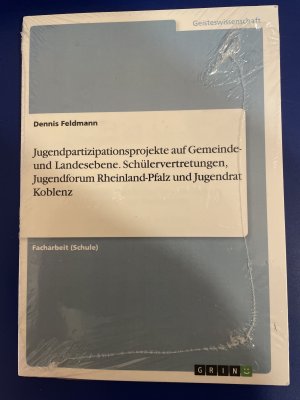 gebrauchtes Buch – Dennis Feldmann – Jugendpartizipationsprojekte auf Gemeinde- und Landesebene. Schülervertretungen, Jugendforum Rheinland-Pfalz und Jugendrat Koblenz