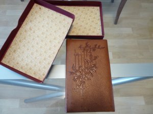 Poesiealbum Leipzig 1906 - 1914 mit Original Geschenkkarton 1906