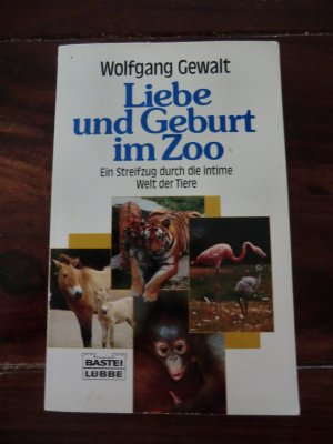 Liebe und Geburt im Zoo