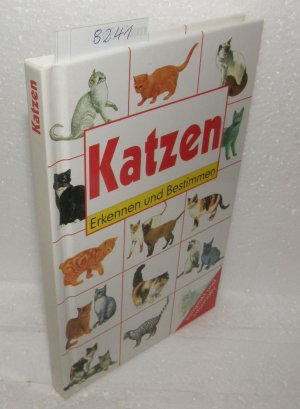 gebrauchtes Buch – Katzen