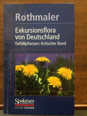 gebrauchtes Buch – Eckehart, Jäger; Klaus, Werner; Jäger, Eckehardt J; Werner, Klaus  – Rothmaler - Exkursionsflora von Deutschland. Bd.4: Gesamtwerk. (1994-2005) / Gefässpflanzen: Kritischer Band