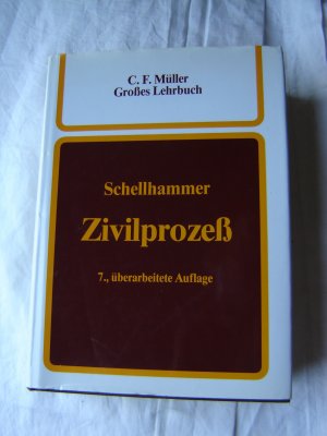 Zivilprozess - Gesetz - Praxis - Fälle. Ein Lehrbuch