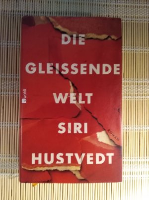 gebrauchtes Buch – Siri Hustvedt – Die gleißende Welt