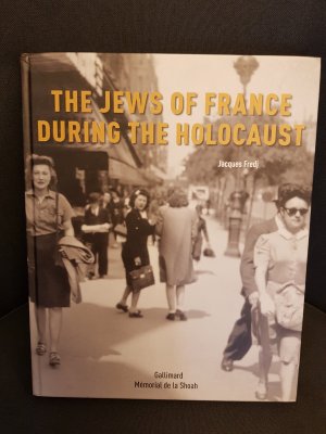 The Jews of France during the Holocaust