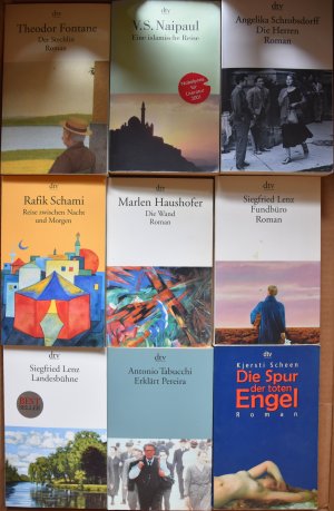 9 x dtv Taschenbücher- Landesbühne - Die Wand - Der Stechlin - Erklärt Pereira - Paket P171