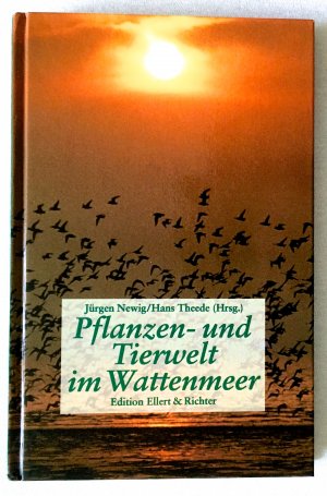 Pflanzen und Tiere im Wattenmeer