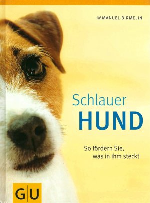 Schlauer Hund - So fördern Sie, was in ihm steckt