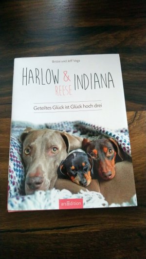 gebrauchtes Buch – Vega, Brittni und Jeff – Harlow, Indiana & Reese - Geteiltes Glück ist Glück hoch drei