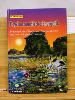 gebrauchtes Buch – Reimar Banis – Psychosomatische Energetik