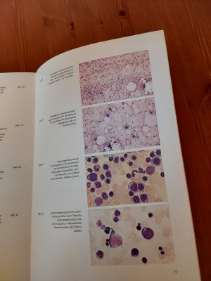 gebrauchtes Buch – Diagnostica MERCK  – Hämatologische Labormethoden.