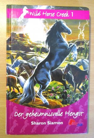 gebrauchtes Buch – Sharon Siamon – Der geheimnisvolle Hengst