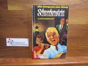 gebrauchtes Buch – Oliver Hassencamp – Die Jungens von Burg Schreckenstein. Schneider-Taschenbücher ; 18