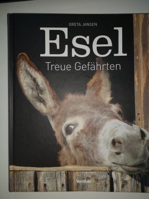 Esel * Treue Gefährten