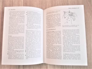 gebrauchtes Buch – Becvar, Wolfgang Dr – Naturheilkunde für Katzen - Grundlagen, Methoden, Krankheitsbilder