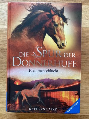 gebrauchtes Buch – Kathryn Lasky – Die Spur der Donnerhufe, Band 1: Flammenschlucht