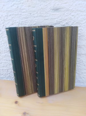 antiquarisches Buch – Theodor Storm – Storms Werke in zwei Bänden, Bde. 1 UND 2 (Bibliothek deutscher Klassiker)