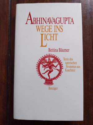 Abhinavagupta. Wege ins Licht