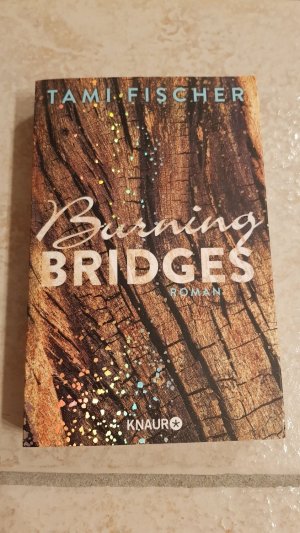 gebrauchtes Buch – Tami Fischer – Burning Bridges