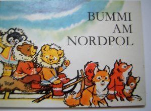 Bummi am Nordpol