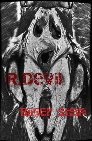 gebrauchtes Buch – R.Devil – Böser Stein