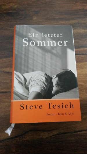 gebrauchtes Buch – Tesich, Steve – Ein letzter Sommer