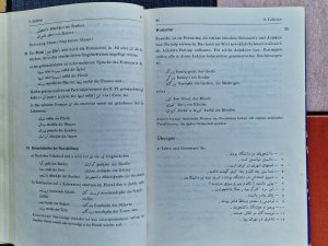 gebrauchtes Buch – Alavi, Bozorg; Lorenz – Lehrbuch der persischen Sprache