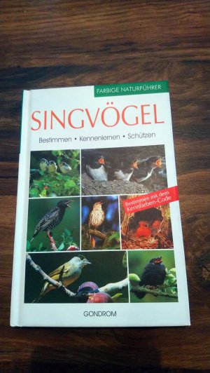 Singvögel