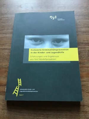 Evaluierte Kriminalitätsprävention in der Kinder und Jugendhilfe. Erfahrungen und Ergebnisse aus fünf Modellprojekten