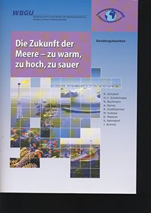 Die Zukunft der Meere – zu warm, zu hoch, zu sauer - Sondergutachten