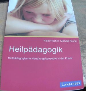 Heilpädagogik - Heilpädagogische Handlungskonzepte in der Praxis