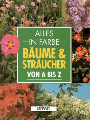 gebrauchtes Buch – Peter McHoy – Bäume und Sträucher von A - Z