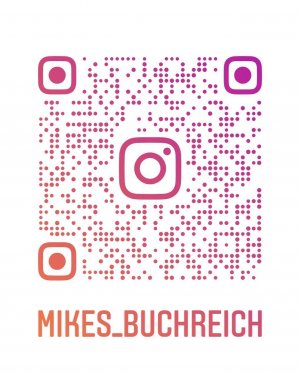 gebrauchtes Buch – Michael Stürmer – Bismarck • Die Grenzen der Politik