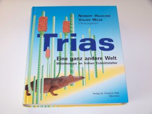 Trias +++ Eine ganz andere Welt +++ Mitteleuropa im frühen Erdmittelalter TOP!!!