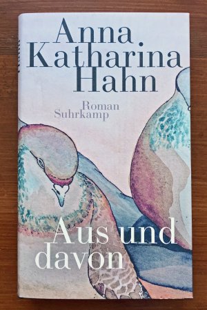 gebrauchtes Buch – Anna Katharina Hahn – Aus und davon - Roman