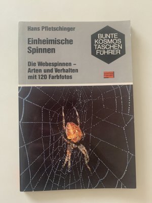 Einheimische Spinnen.