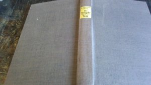 Die deutsche Bankenkrise 1931 - Finanzen und Politik