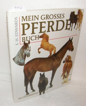 Mein grosses Pferdebuch