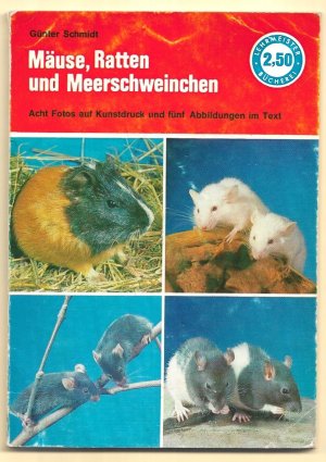 gebrauchtes Buch – Günter Schmidt – Meerschweinchen