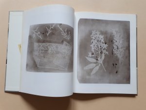 gebrauchtes Buch – André Jammes – William H. Fox Talbot - Ein grosser Erfinder und Meister der Photographie