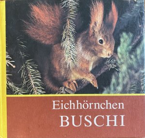 gebrauchtes Buch – Helmut Massny – Eichhörnchen BUSCHI - Für junge Natur- & Tierfreunde fotografiert & aufgeschrieben