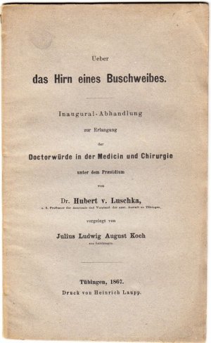 Ueber das Hirn eines Buschweibes. Inaugural-Abhandlung zur Erlangung der Doctorwürde in der Medicin und Chirurgie unter dem Präsidium von Dr. Hubert v […]