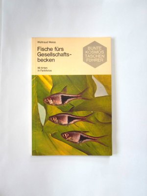 gebrauchtes Buch – WALTraud WEISS – Fische fürs Gesellschaftsbecken