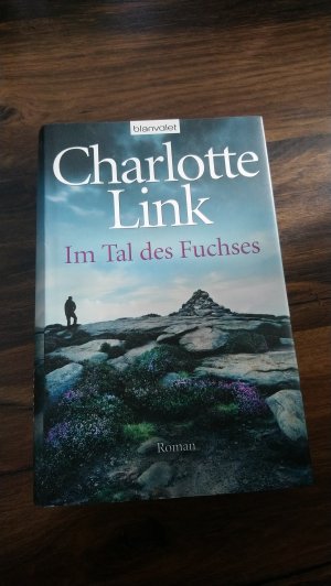 gebrauchtes Buch – Link, Charlotte – Im Tal des Fuchses